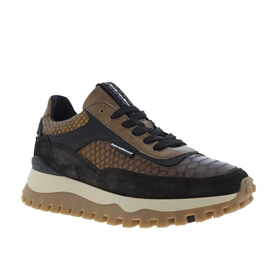 Floris van Bommel Sneakers Brons