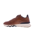 Floris van Bommel Sneakers Cognac