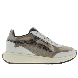 Floris van Bommel Sneakers Taupe