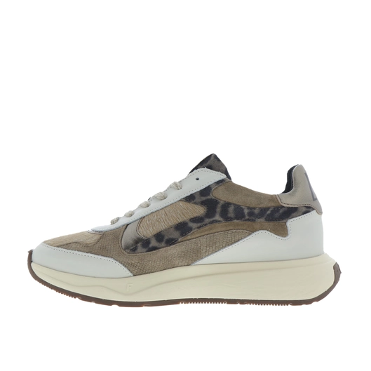 Floris van Bommel Sneakers Taupe